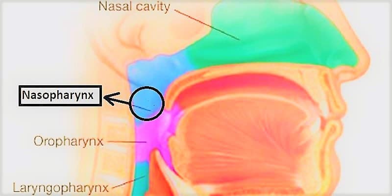 Kanker Tenggorokan Info Lengkap Bagi Anda Yang Peduli Kesehatan