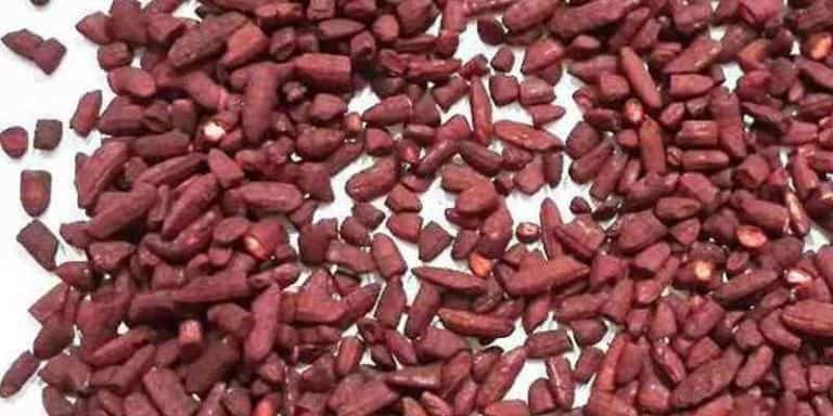  Angkak  Beras Merah Fermentasi yang Diyakini sebagai Obat 