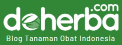 Logo Deherba.com